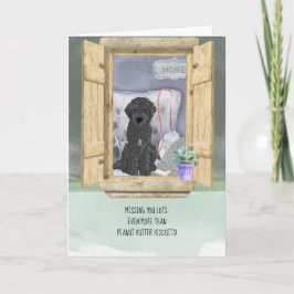Svart Labradoodle-Hund saknas i Windows Kort