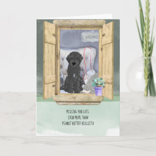 Svart Labradoodle-Hund saknas i Windows Kort