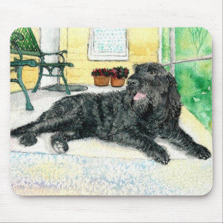 Svart Labradoodle Musmatta