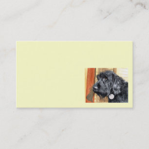 Svart Labradoodle visitkortar Visitkort
