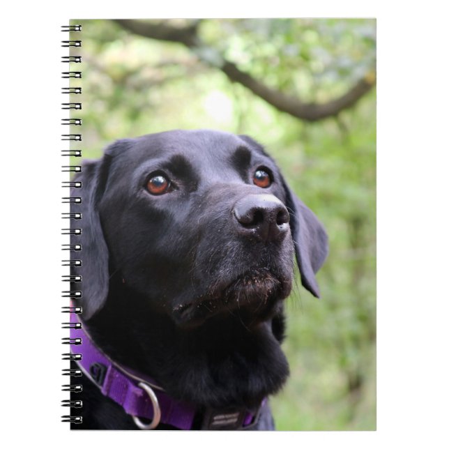 Svart Labrador Anteckningsbok (Framsidan)