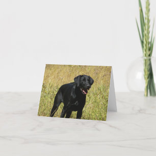 Svart Labrador-återgivningskort med tom Hund-antec Kort