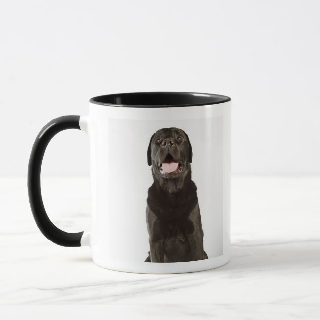Svart Labrador (Canisfamiliaris) som flåsar, Mugg (Vänster)