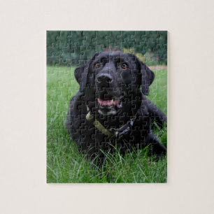 Svart Labrador för anpassade Retriever Pussel