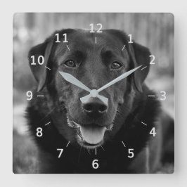 Svart labrador Foto Pet Hund Square Wall Clock Fyrkantig Klocka
