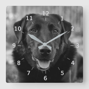 Svart labrador Foto Pet Hund Square Wall Clock Fyrkantig Klocka