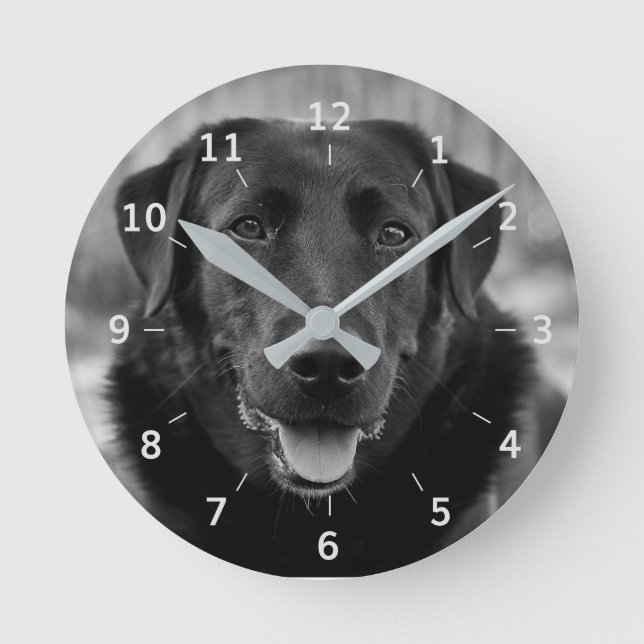 Svart labrador Foto Pet Hund Square Wall Clock Rund Klocka (Framsida)