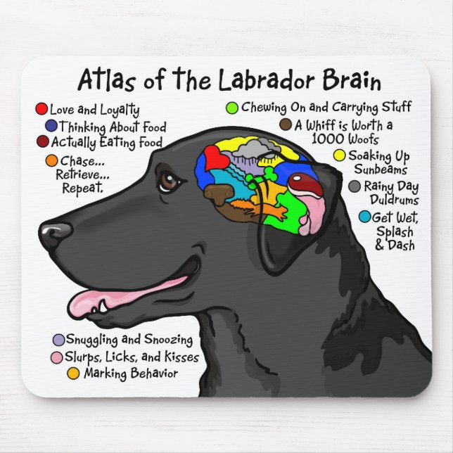 Svart Labrador hjärnkartbok Musmatta (Framsidan)
