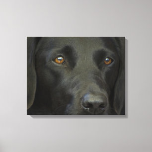 Svart Labrador hund Canvastryck