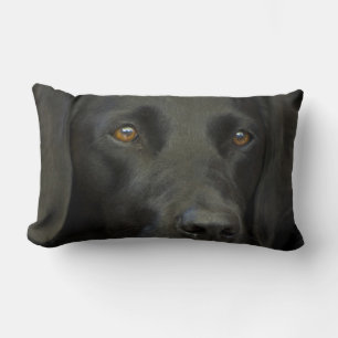 Svart Labrador hund Lumbarkudde