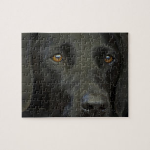 Svart Labrador hund Pussel