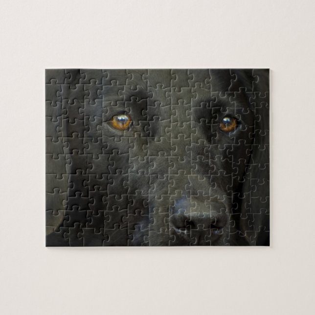 Svart Labrador hund Pussel (Horisontell)