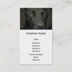 Svart Labrador hund Visitkort