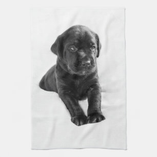 Svart labrador hundvalp kökshandduk
