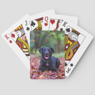 Svart labrador i Höst löv Casinokort