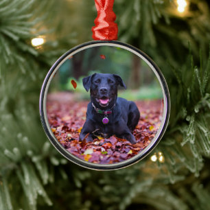 Svart labrador i Höst löv Julgransprydnad Metall