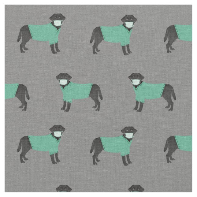 Svart labrador i skrubbar grått tyg (Närbild)