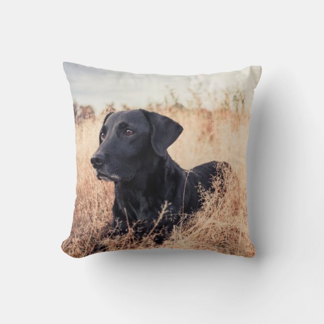 Svart Labrador i torrt gräs Kudde (Framsida)