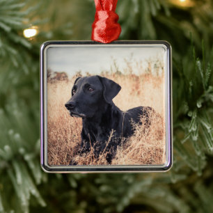 Svart labrador i torrvikt julgransprydnad metall