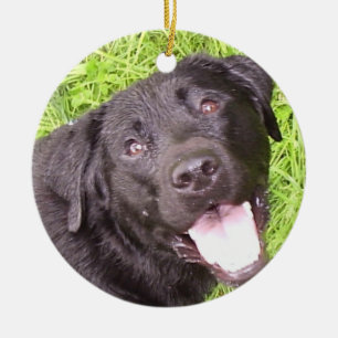 Svart labrador julgransprydnad keramik