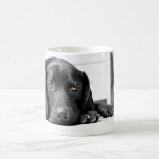 Svart Labrador Kaffemugg