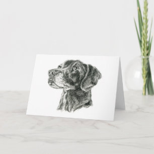 Svart Labrador Kort