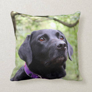 Svart Labrador Kudde