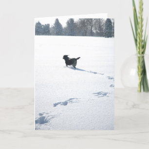 Svart Labrador lekar i snön Helgkort