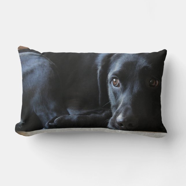 Svart Labrador Lumbarkudde (Framsida)