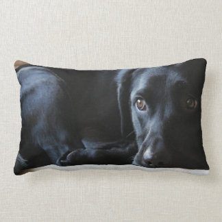 Svart Labrador Lumbarkudde