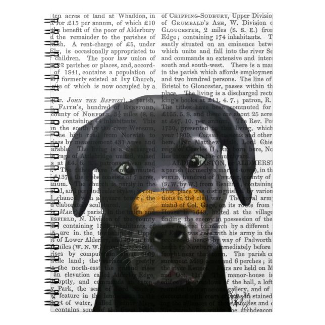 Svart Labrador Med Ben På Näsan Anteckningsbok (Framsidan)