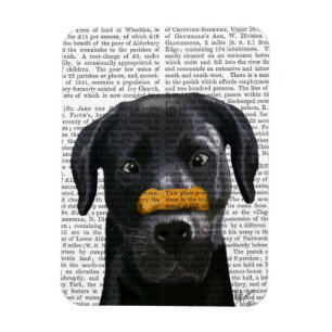 Svart labrador med ben på näsan magnet