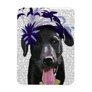 Svart labrador med blå fascinator magnet