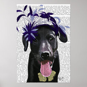 Svart labrador med blå fascinator poster