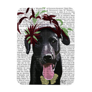 Svart labrador med fascinator med Grönt Magnet