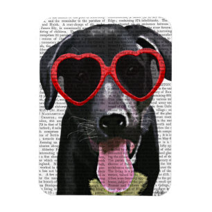 Svart labrador med glasögon magnet