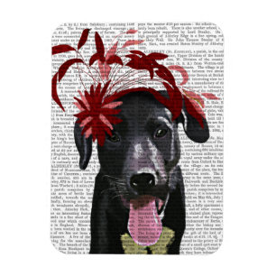 Svart labrador med röd fascinator magnet