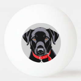 Svart Labrador med röd halsband Pingisboll