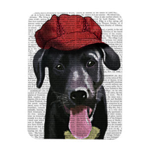 Svart labrador med rött kap magnet
