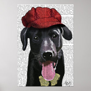 Svart labrador med rött kap poster