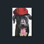 Svart labrador med rött tak canvastryck<br><div class="desc">Husdjur</div>