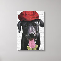 Svart labrador med rött tak