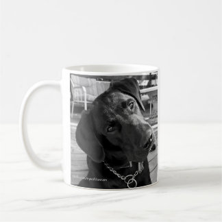 Svart Labrador mugg