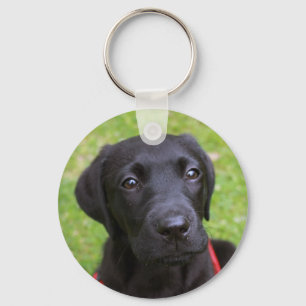 Svart Labrador nyckelring