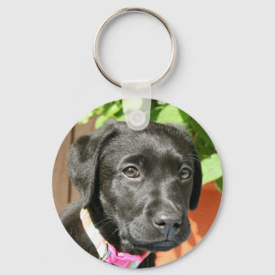 Svart Labrador nyckelring