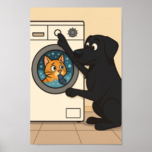 Svart Labrador och Katt Tvättstuga Humor Affisch