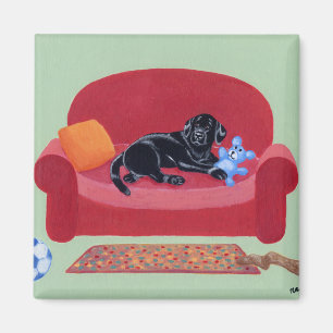 Svart Labrador på den rosa soffan Magnet