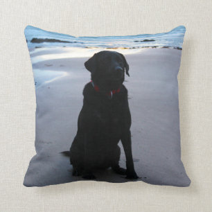 Svart Labrador på en strand Kudde