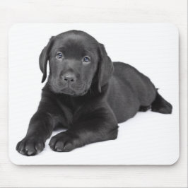 Svart labrador Puppy Mousepad Musmatta