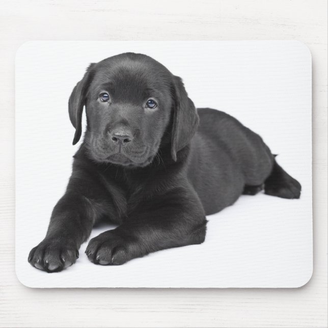 Svart labrador Puppy Mousepad Musmatta (Framsidan)